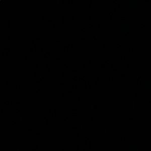 Meet your Posher, Prabh